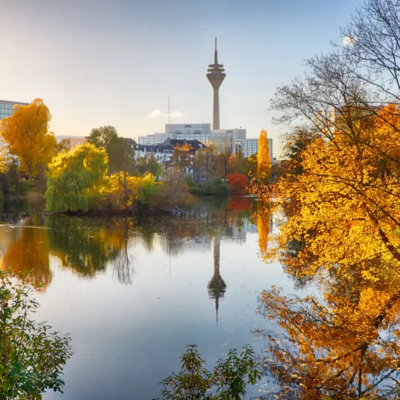 Düsseldorfer Unternehmen